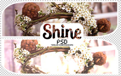 P S D- Shine