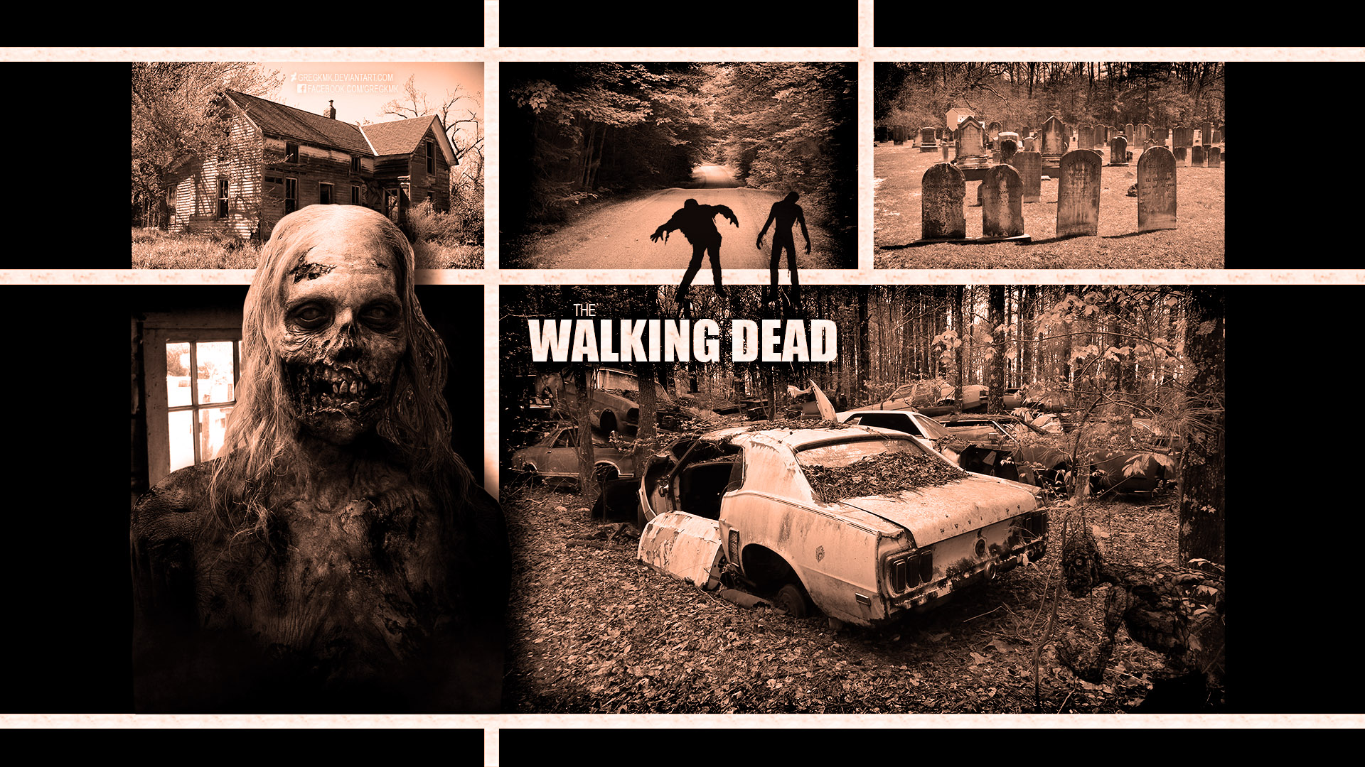 The Walking Dead Wallpaper