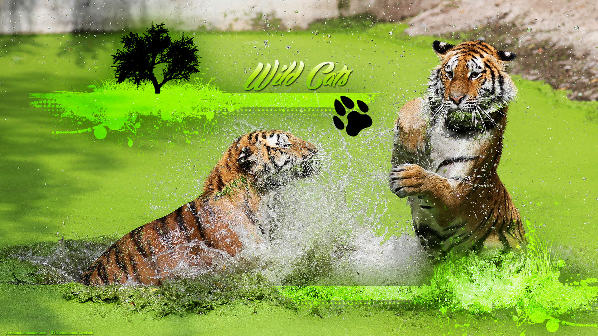 Wild Cats Wallpaper