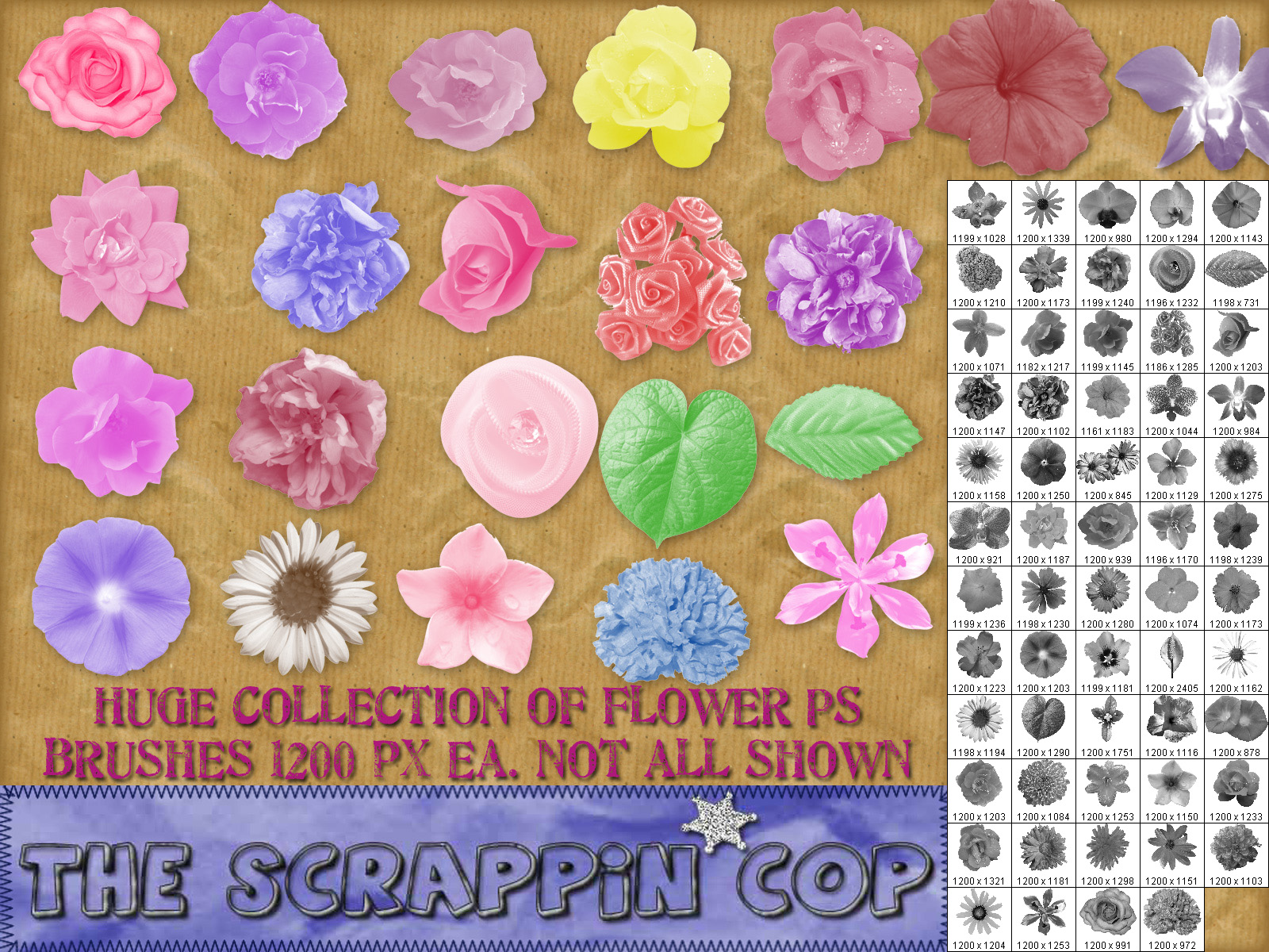 Hi Res Flower Brushes by debh945 on DeviantArt
