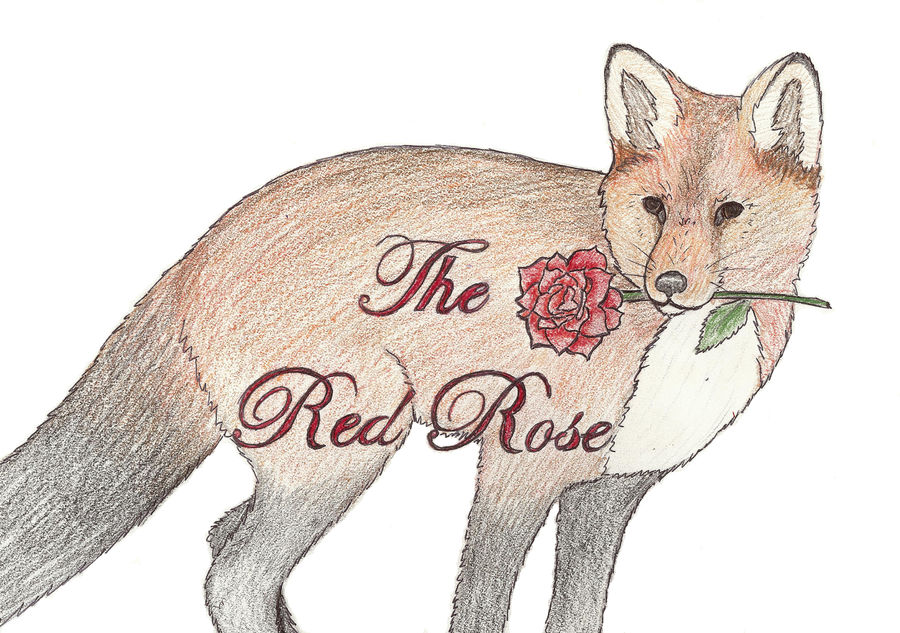 The Red Rose by WolfFoxGuy on DeviantArt