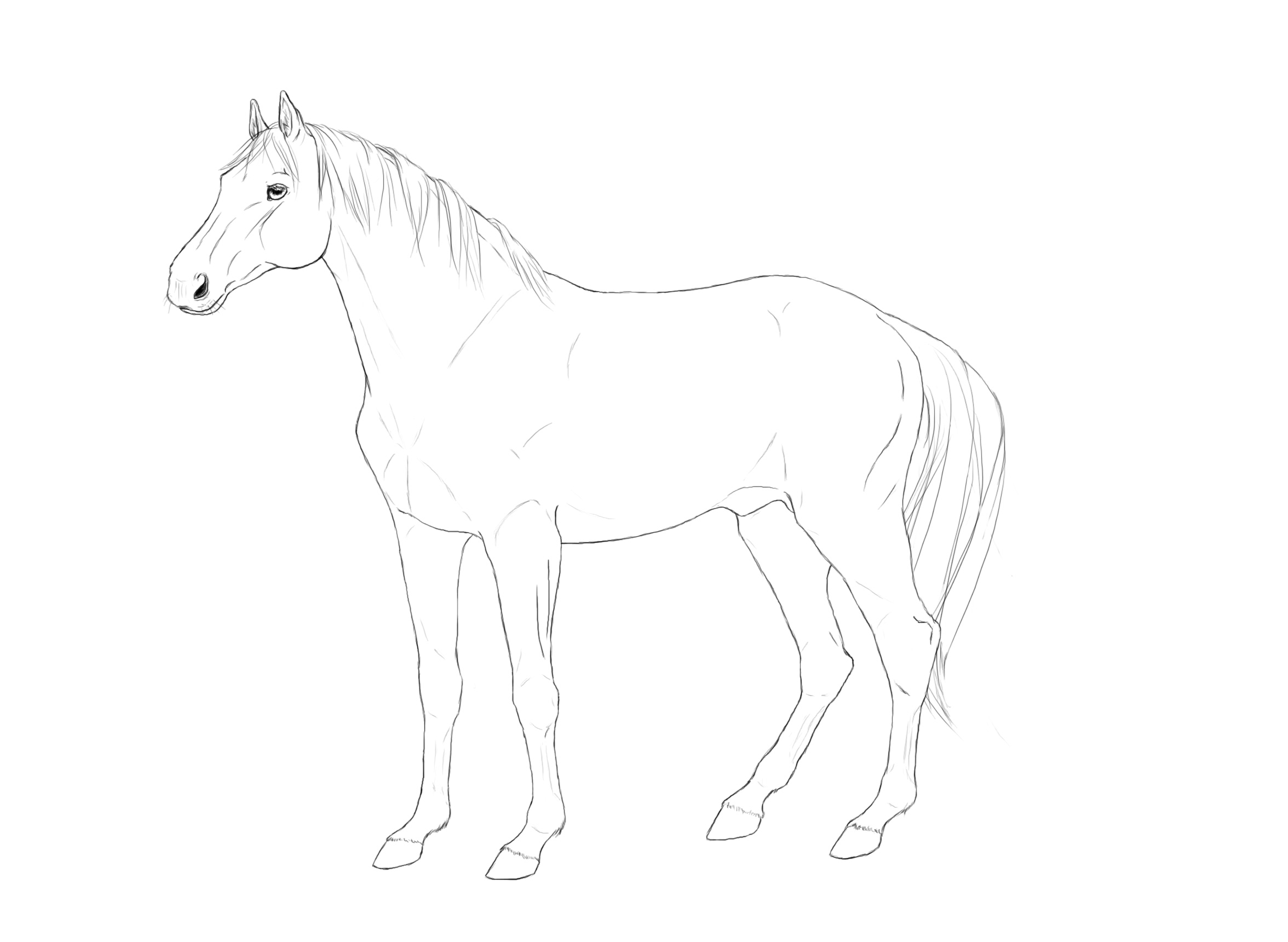 Horse lineart - OC in Progress