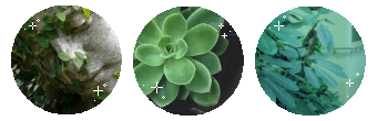f2u_green_aesthetic_divider_by_hime_kinq