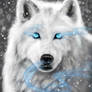 The Winter Wolf - animated