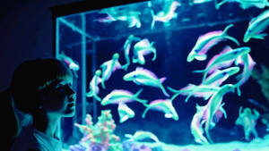Strange Aquariums (Sora Experiment)