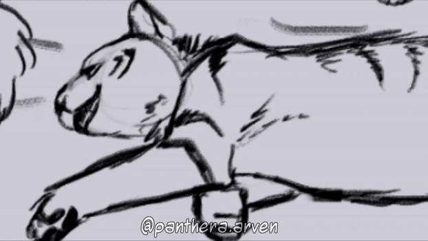 Remember Me - Warrior Cats AMV ANIMATIC
