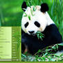 dzArt panda Vista themes