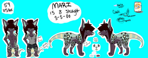 Mari Reference Sheet 2015