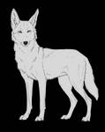 Coyote-- free lineart by Canis-ferox