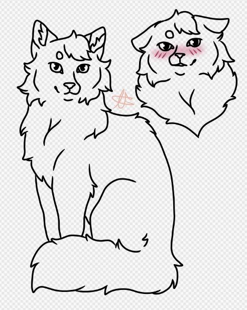 Fluffy cat full body and bust lineart by AppleFritterCritter on DeviantArt