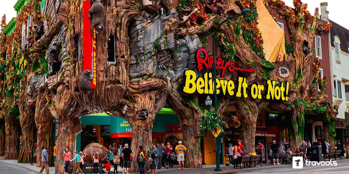 Ripley's Believe It or Not Pattaya by travools2 on DeviantArt