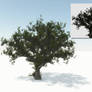 tree 3d 01