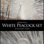 White Peacock Set