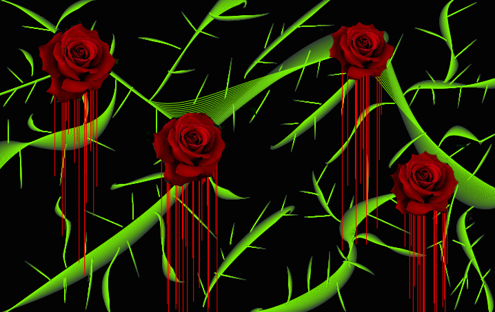 blood rose by zeva2012 on DeviantArt