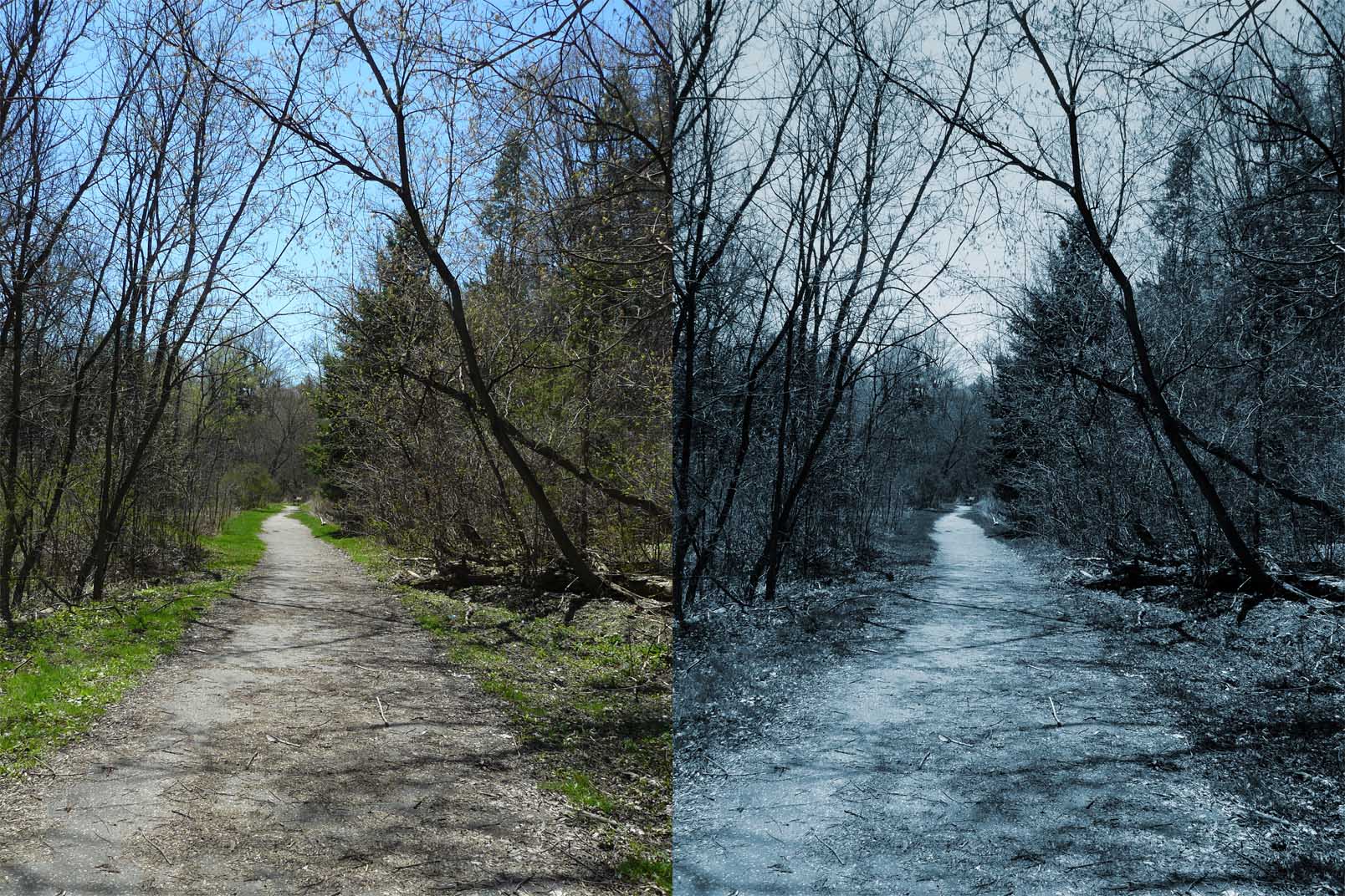 Nature Walkway