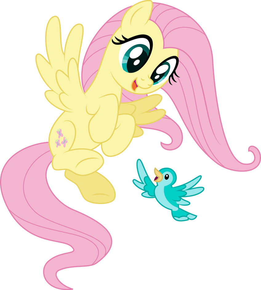 mlp_vector___fluttershy_birb_by_star_collider_dfvqyo1-pre.png