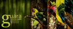 Guara WallPack by EAMejia