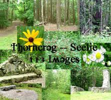 Thorncrag -- Seelie Pack 1