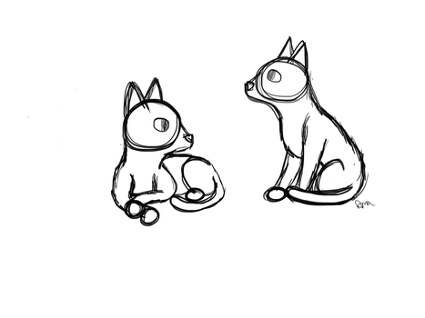 Cat Poses