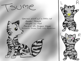 Tsume Reference