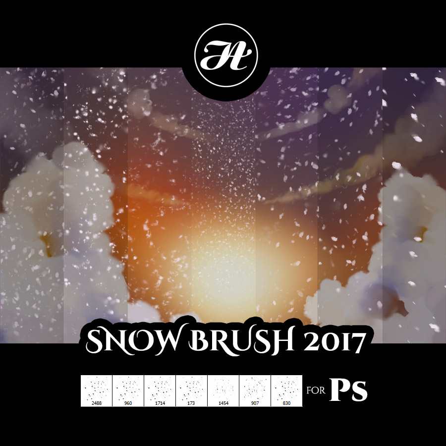 Snow Brush 2017