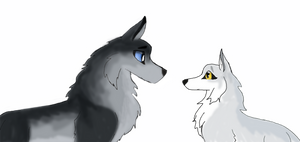 Lurker and Silver