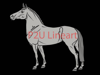 Standing Lines P2U