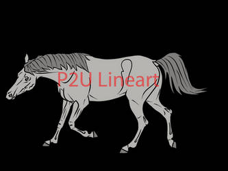 Snaking Lines P2U