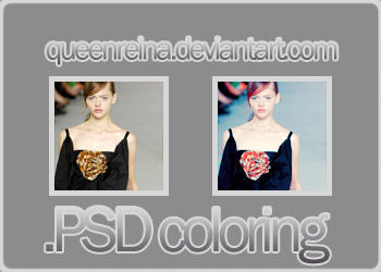 PSD coloring - 015