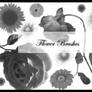 flower brushes