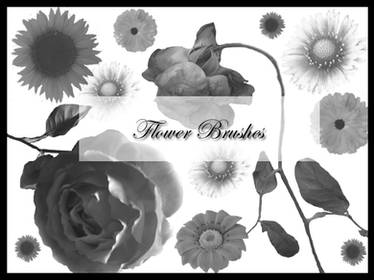 flower brushes