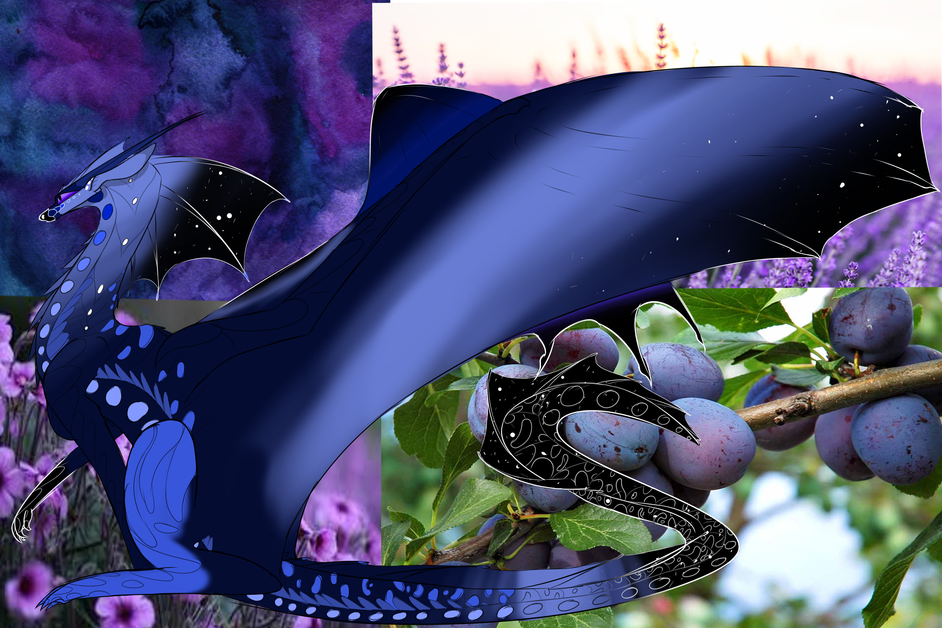 SeaWing NightWing Hybrid by idkFoxes on DeviantArt