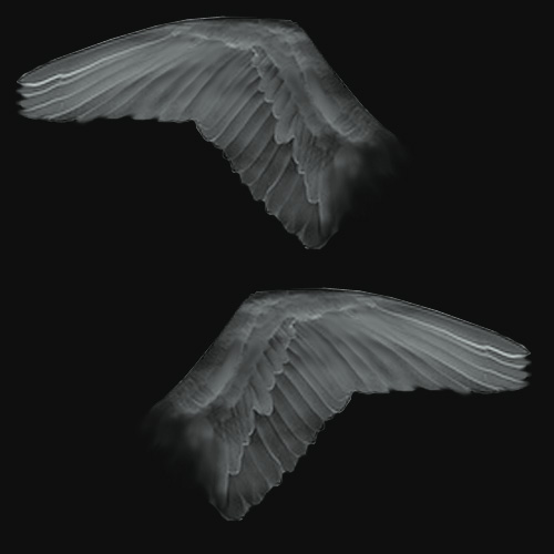 wings for tutorial