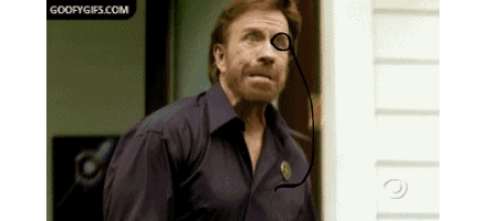 Chuck Norris Animation