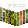 2009 Macro Calendar