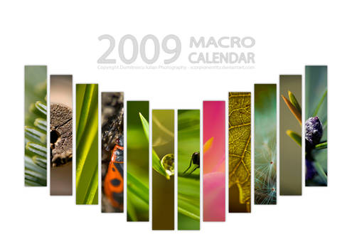 2009 Macro Calendar