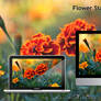 Flower Stack - Wallpaper pack