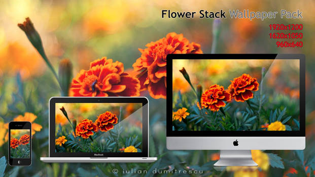 Flower Stack - Wallpaper pack