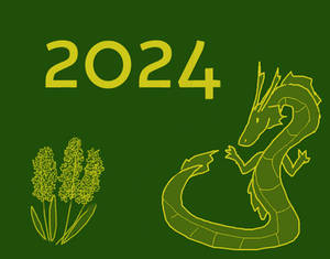 Year of the dragon 2024