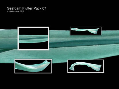 JBS Seafoam Flutter Pack 07