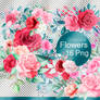 Flowers Png pack #02
