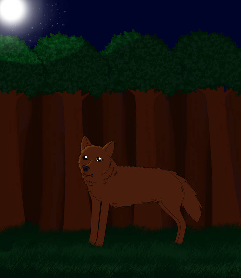 A wonderful night (remake) by HalfmoonHowls on DeviantArt