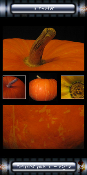 Pumpkins Pack 2