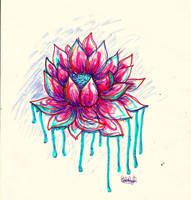 Lotus Drawing