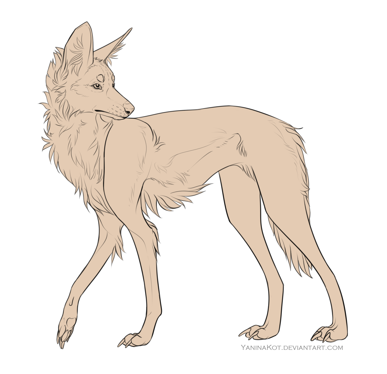 Maned Wolf lineart FREE