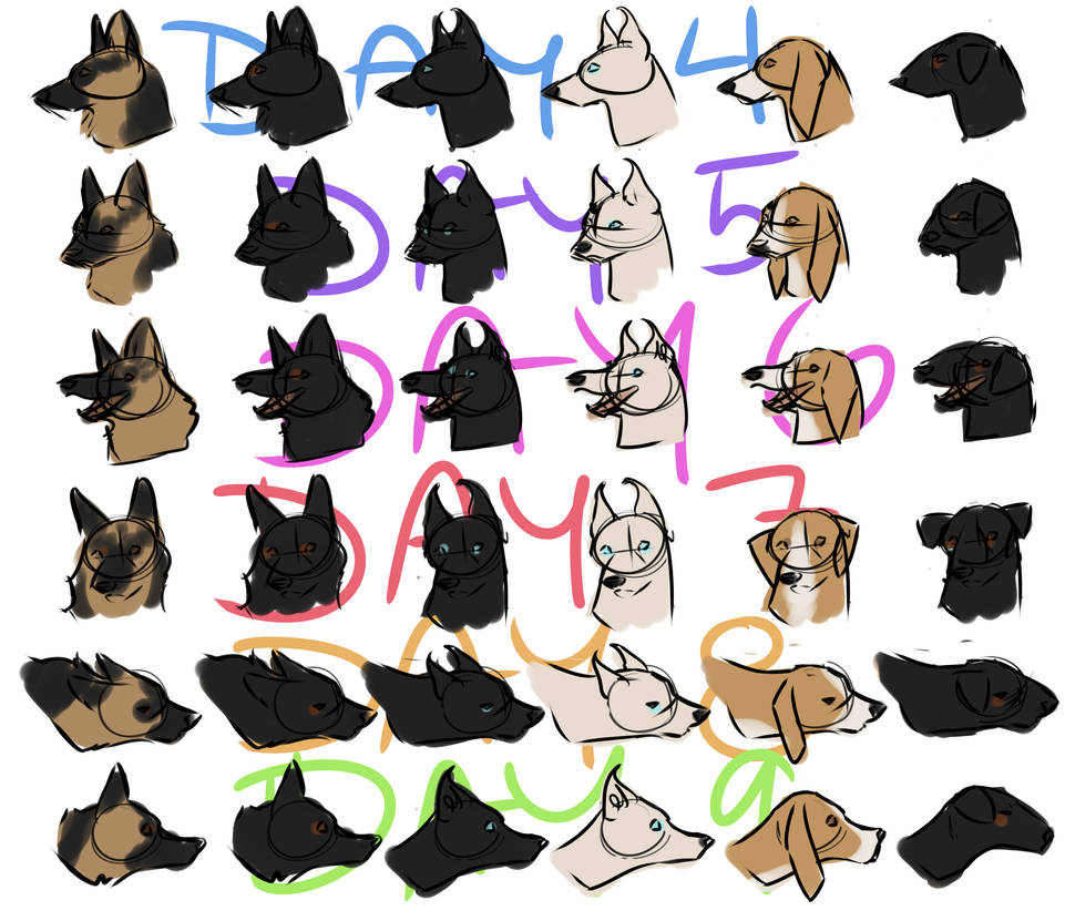 Daily RNG 002 by Canlupanon on DeviantArt