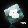 MSN Icon