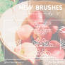 Brushes-Ornaments 2