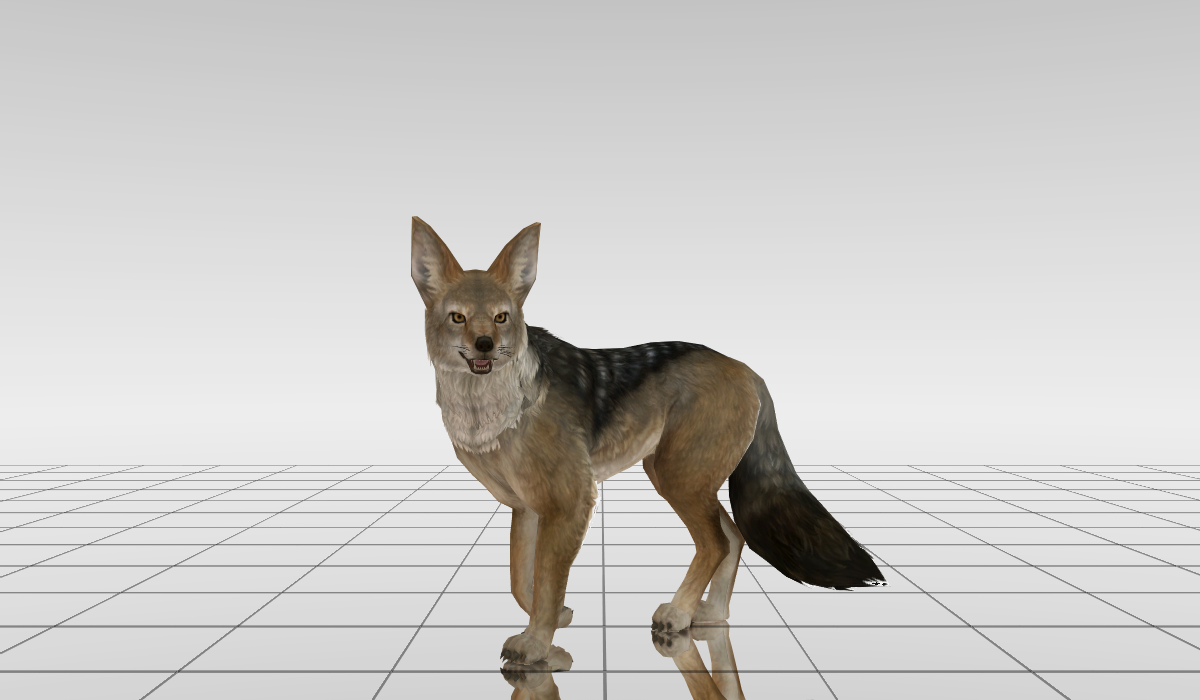 MMD Jackal DL by LuPa-Dls on DeviantArt