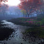 Nature's Color
